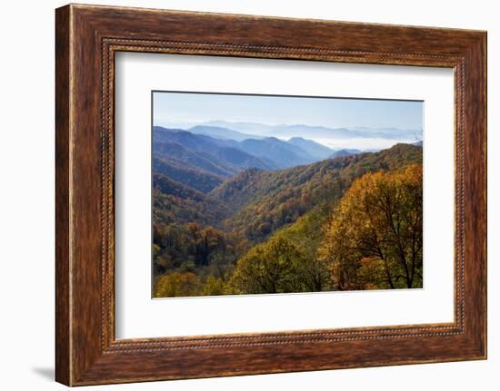 Autumn color in the valley, Great Smoky Mountain National Park, Tennessee-Gayle Harper-Framed Photographic Print