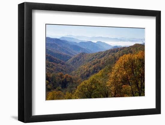 Autumn color in the valley, Great Smoky Mountain National Park, Tennessee-Gayle Harper-Framed Photographic Print