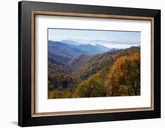 Autumn color in the valley, Great Smoky Mountain National Park, Tennessee-Gayle Harper-Framed Photographic Print