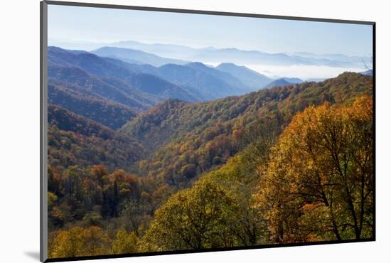 Autumn color in the valley, Great Smoky Mountain National Park, Tennessee-Gayle Harper-Mounted Photographic Print