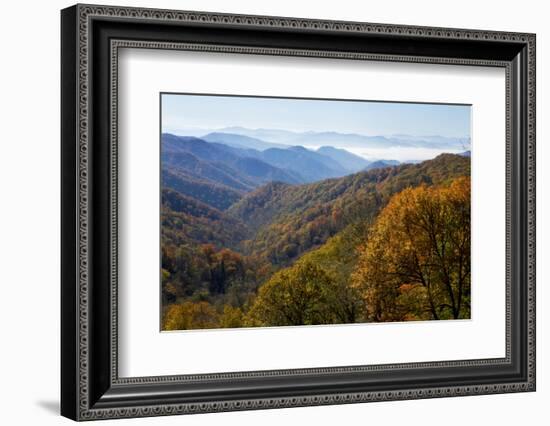 Autumn color in the valley, Great Smoky Mountain National Park, Tennessee-Gayle Harper-Framed Photographic Print