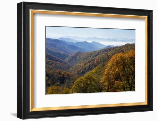 Autumn color in the valley, Great Smoky Mountain National Park, Tennessee-Gayle Harper-Framed Photographic Print