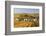 Autumn Color in the Vineyards Surrounding Bue, Sancerre, Cher, Centre, France, Europe-Julian Elliott-Framed Photographic Print