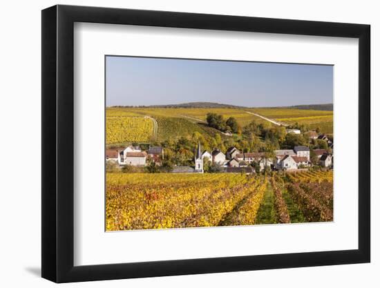 Autumn Color in the Vineyards Surrounding Bue, Sancerre, Cher, Centre, France, Europe-Julian Elliott-Framed Photographic Print