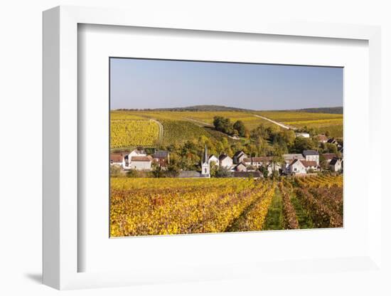 Autumn Color in the Vineyards Surrounding Bue, Sancerre, Cher, Centre, France, Europe-Julian Elliott-Framed Photographic Print