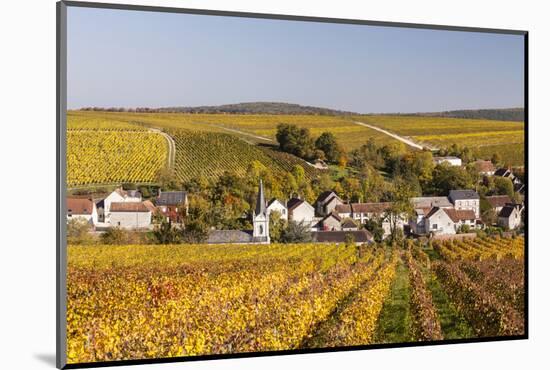 Autumn Color in the Vineyards Surrounding Bue, Sancerre, Cher, Centre, France, Europe-Julian Elliott-Mounted Photographic Print