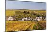 Autumn Color in the Vineyards Surrounding Bue, Sancerre, Cher, Centre, France, Europe-Julian Elliott-Mounted Photographic Print