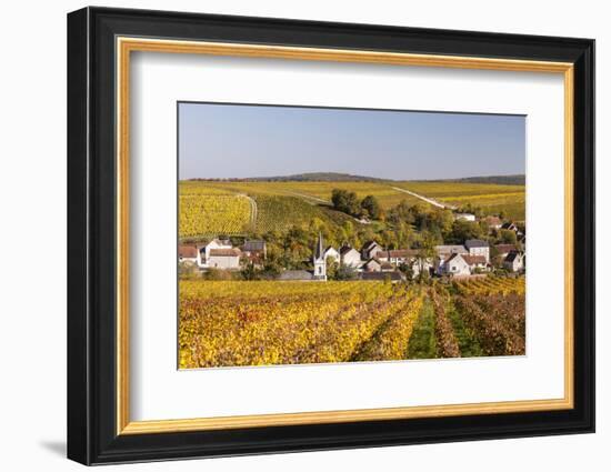 Autumn Color in the Vineyards Surrounding Bue, Sancerre, Cher, Centre, France, Europe-Julian Elliott-Framed Photographic Print