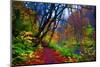 Autumn Color of Oirase River, Japan-NicholasHan-Mounted Photographic Print