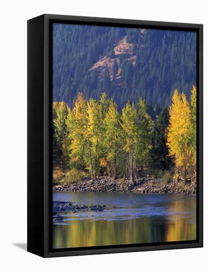 Autumn Color on the Methow River, Washington, USA-William Sutton-Framed Premier Image Canvas