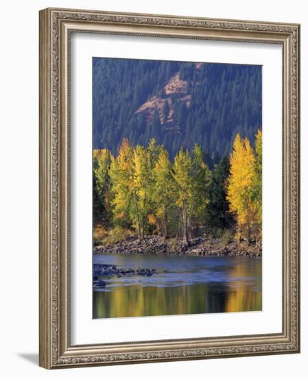 Autumn Color on the Methow River, Washington, USA-William Sutton-Framed Photographic Print