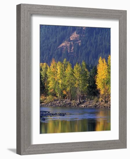 Autumn Color on the Methow River, Washington, USA-William Sutton-Framed Photographic Print