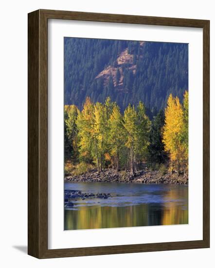 Autumn Color on the Methow River, Washington, USA-William Sutton-Framed Photographic Print