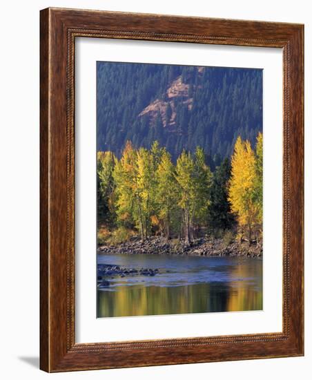 Autumn Color on the Methow River, Washington, USA-William Sutton-Framed Photographic Print