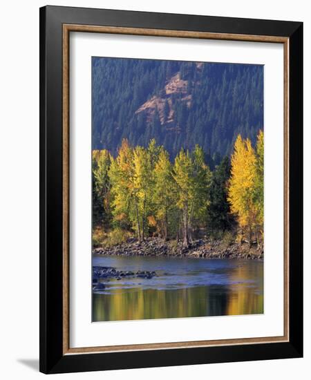 Autumn Color on the Methow River, Washington, USA-William Sutton-Framed Photographic Print