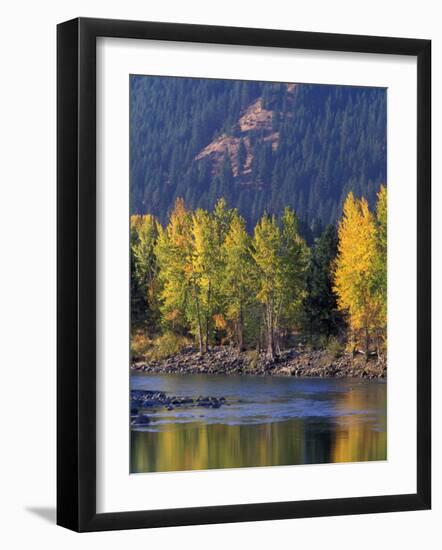 Autumn Color on the Methow River, Washington, USA-William Sutton-Framed Photographic Print