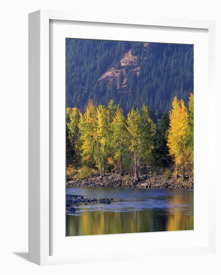 Autumn Color on the Methow River, Washington, USA-William Sutton-Framed Photographic Print