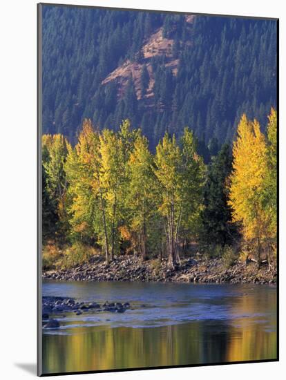 Autumn Color on the Methow River, Washington, USA-William Sutton-Mounted Photographic Print