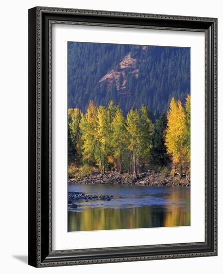 Autumn Color on the Methow River, Washington, USA-William Sutton-Framed Photographic Print