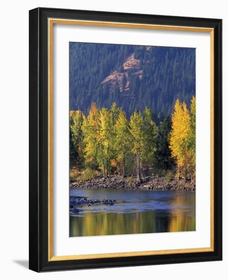 Autumn Color on the Methow River, Washington, USA-William Sutton-Framed Photographic Print