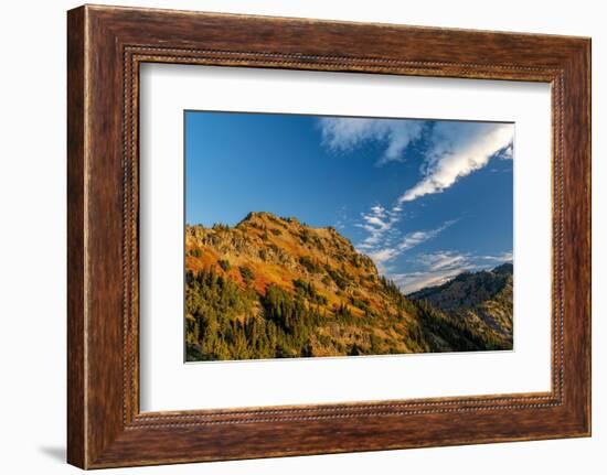 Autumn color on Yakima Peak in Mount Rainier National Park, Washington State, USA-Chuck Haney-Framed Photographic Print