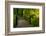 Autumn Color, Portland Japanese Garden, Portland, Oregon, USA-Michel Hersen-Framed Photographic Print