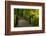 Autumn Color, Portland Japanese Garden, Portland, Oregon, USA-Michel Hersen-Framed Photographic Print