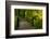 Autumn Color, Portland Japanese Garden, Portland, Oregon, USA-Michel Hersen-Framed Photographic Print