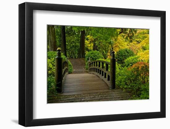 Autumn Color, Portland Japanese Garden, Portland, Oregon, USA-Michel Hersen-Framed Photographic Print