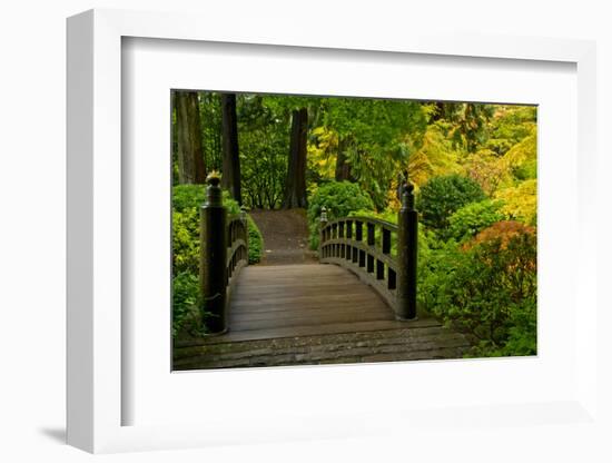 Autumn Color, Portland Japanese Garden, Portland, Oregon, USA-Michel Hersen-Framed Photographic Print