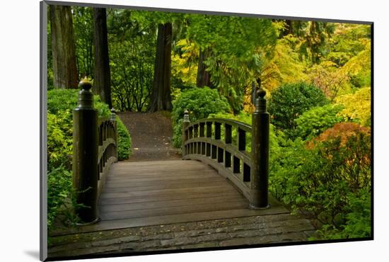 Autumn Color, Portland Japanese Garden, Portland, Oregon, USA-Michel Hersen-Mounted Photographic Print