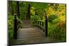 Autumn Color, Portland Japanese Garden, Portland, Oregon, USA-Michel Hersen-Mounted Photographic Print