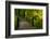 Autumn Color, Portland Japanese Garden, Portland, Oregon, USA-Michel Hersen-Framed Photographic Print