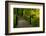 Autumn Color, Portland Japanese Garden, Portland, Oregon, USA-Michel Hersen-Framed Photographic Print