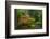 Autumn Color, Portland Japanese Garden, Portland, Oregon, USA-Michel Hersen-Framed Photographic Print