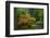 Autumn Color, Portland Japanese Garden, Portland, Oregon, USA-Michel Hersen-Framed Photographic Print