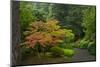 Autumn Color, Portland Japanese Garden, Portland, Oregon, USA-Michel Hersen-Mounted Photographic Print