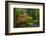 Autumn Color, Portland Japanese Garden, Portland, Oregon, USA-Michel Hersen-Framed Photographic Print