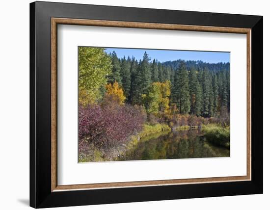 Autumn color, reflections, Leavenworth National Fish Hatchery, Washington State, USA-Michel Hersen-Framed Photographic Print