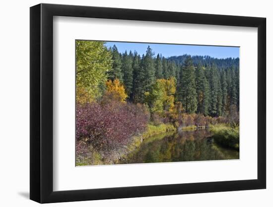 Autumn color, reflections, Leavenworth National Fish Hatchery, Washington State, USA-Michel Hersen-Framed Photographic Print