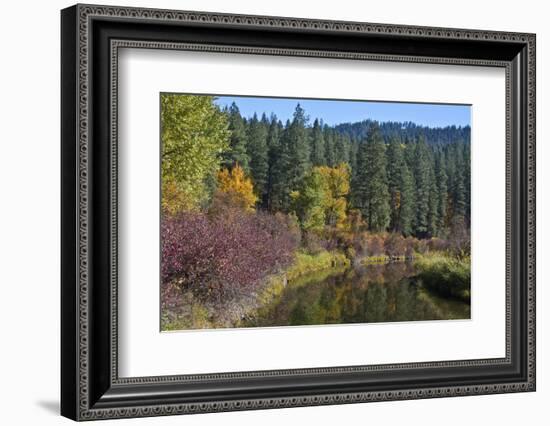 Autumn color, reflections, Leavenworth National Fish Hatchery, Washington State, USA-Michel Hersen-Framed Photographic Print