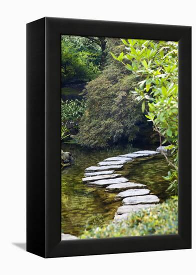 Autumn Color, Stepping Stones, Butchard Gardens, Victoria, British Columbia, Canada-Terry Eggers-Framed Premier Image Canvas