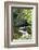 Autumn Color, Stepping Stones, Butchard Gardens, Victoria, British Columbia, Canada-Terry Eggers-Framed Photographic Print