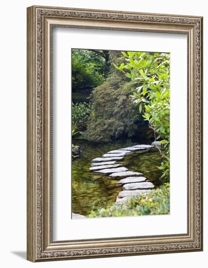 Autumn Color, Stepping Stones, Butchard Gardens, Victoria, British Columbia, Canada-Terry Eggers-Framed Photographic Print