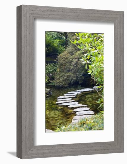 Autumn Color, Stepping Stones, Butchard Gardens, Victoria, British Columbia, Canada-Terry Eggers-Framed Photographic Print