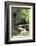 Autumn Color, Stepping Stones, Butchard Gardens, Victoria, British Columbia, Canada-Terry Eggers-Framed Photographic Print