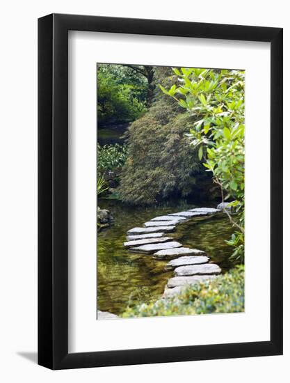 Autumn Color, Stepping Stones, Butchard Gardens, Victoria, British Columbia, Canada-Terry Eggers-Framed Photographic Print