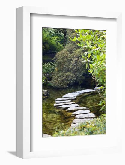 Autumn Color, Stepping Stones, Butchard Gardens, Victoria, British Columbia, Canada-Terry Eggers-Framed Photographic Print