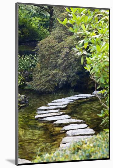 Autumn Color, Stepping Stones, Butchard Gardens, Victoria, British Columbia, Canada-Terry Eggers-Mounted Photographic Print