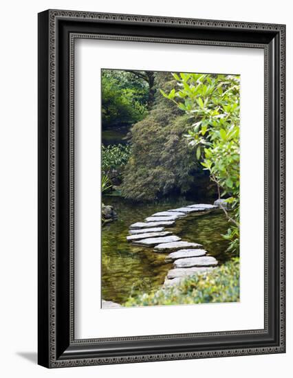 Autumn Color, Stepping Stones, Butchard Gardens, Victoria, British Columbia, Canada-Terry Eggers-Framed Photographic Print